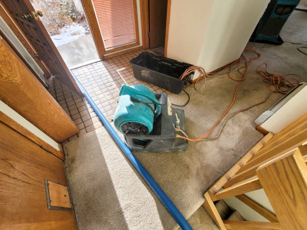 Best Basement water damage restoration  in Thomasville, NC