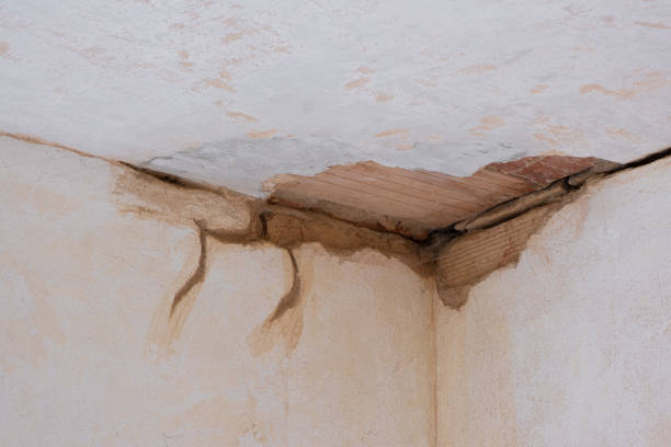 Best Flooded house restoration  in Thomasville, NC