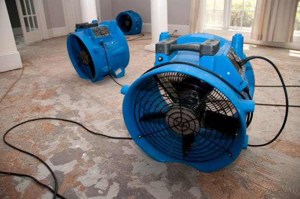 Best Water damage contractors near me  in Thomasville, NC