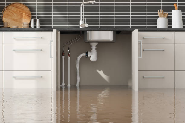 Best Water damage contractors near me  in Thomasville, NC