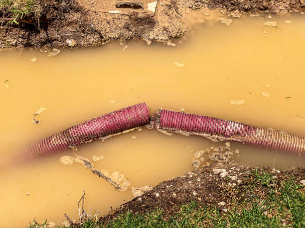 Best Flood damage cleanup  in Thomasville, NC